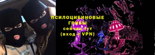 прущая мука Богданович