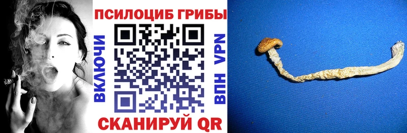 Псилоцибиновые грибы прущие грибы  Балаково 